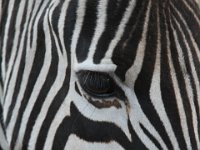 Marion, Romane South Africa 2014 (78 of 80) : Bundu lodge, Marion visit